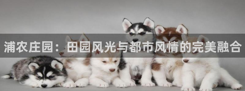 pg电子爆大奖图片