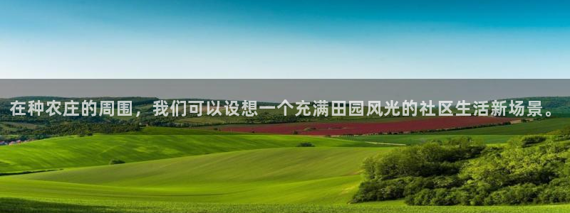 pg电子最新网站入口