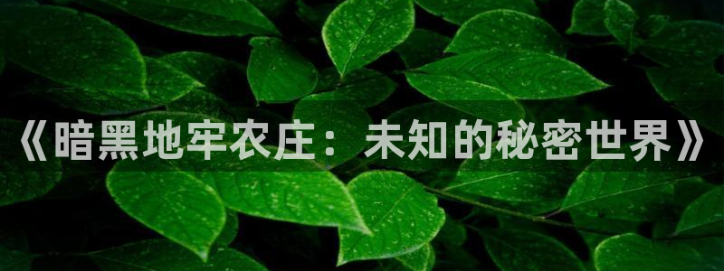 pg电子视频专区