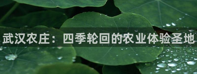 在线pg电子平台