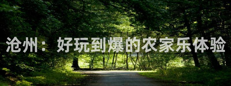 网赌pg电子游戏害人