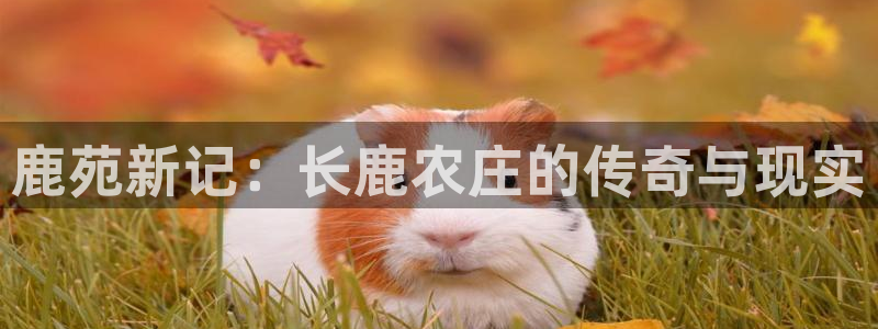 pg电子游戏封面图片