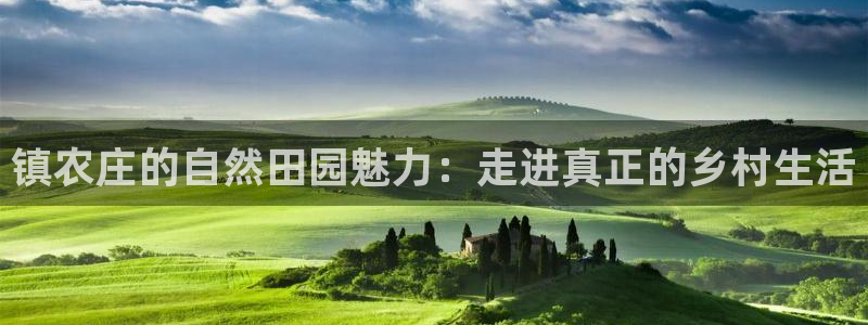 网络上的电子赌博PG