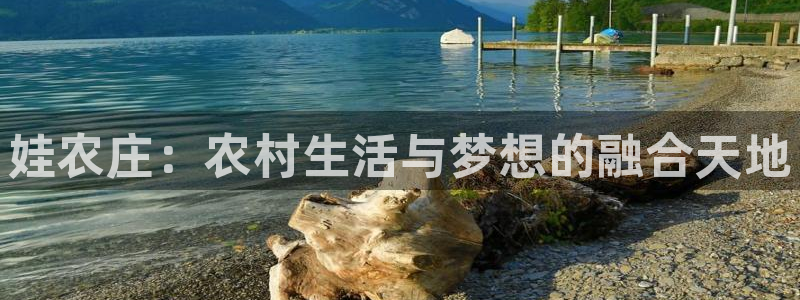 PG电子真人在线