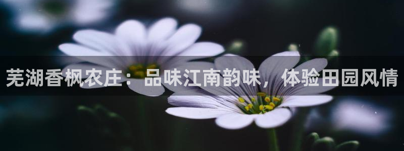 pg电子平台不凡成就非凡