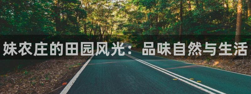 PG报丧说明书电子版